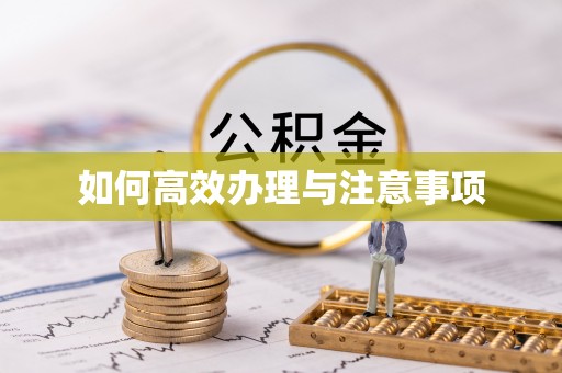 城固如何高效办理与注意事项