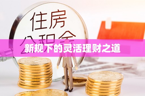 城固新规下的灵活理财之道