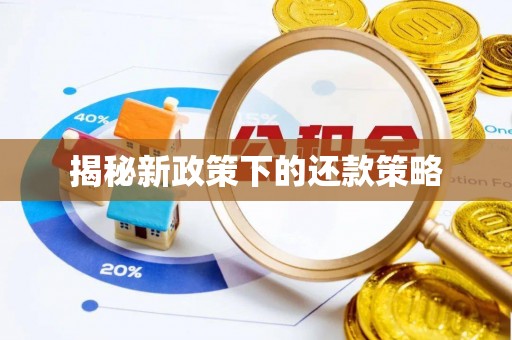 城固揭秘新政策下的还款策略