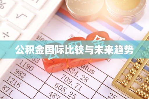 城固公积金国际比较与未来趋势