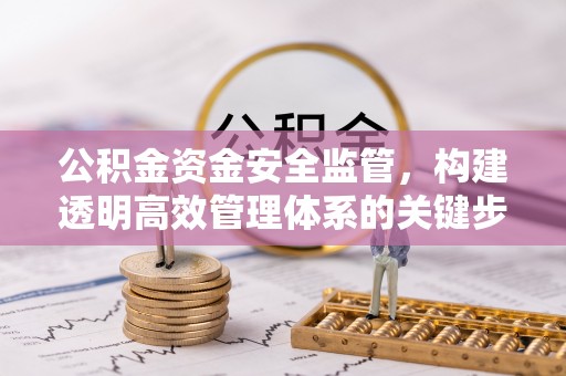 城固公积金资金安全监管，构建透明高效管理体系的关键步骤