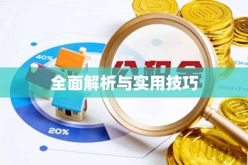 城固全面解析与实用技巧
