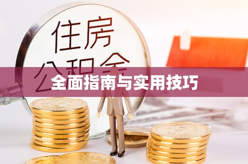 城固全面指南与实用技巧