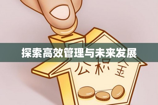 城固探索高效管理与未来发展