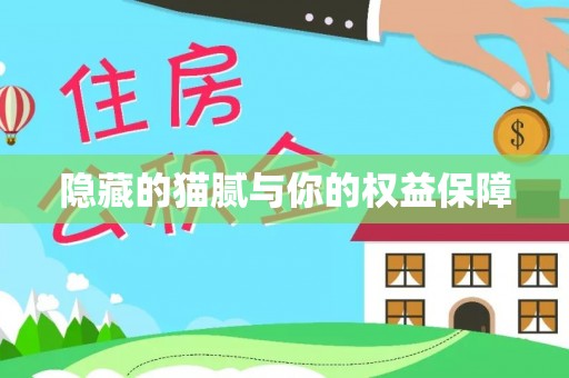 城固隐藏的猫腻与你的权益保障