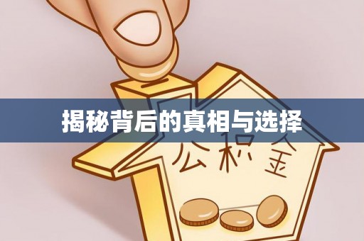 城固揭秘背后的真相与选择