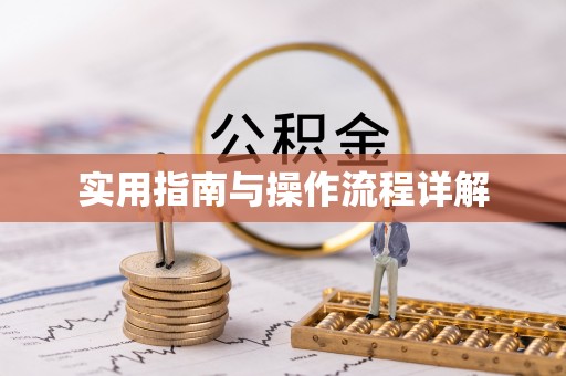 城固实用指南与操作流程详解