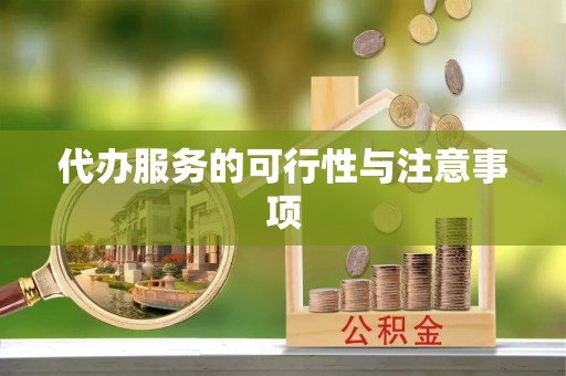 城固代办服务的可行性与注意事项