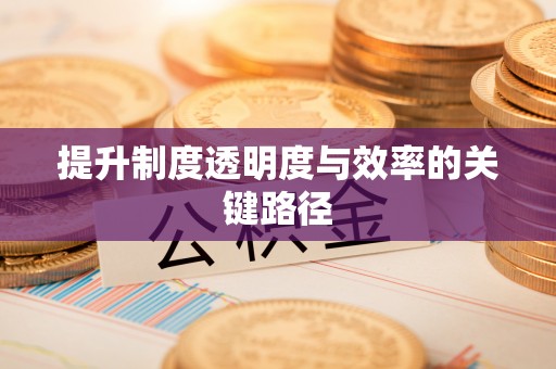 城固提升制度透明度与效率的关键路径