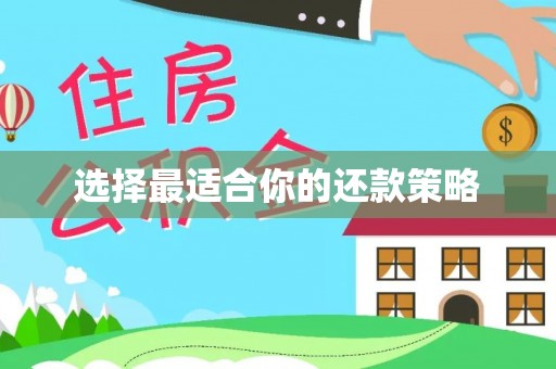 城固选择最适合你的还款策略